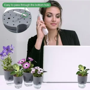 Premium Self Watering Planter Pots – Transparent Reservoir for Easy Plant Care - Image 3